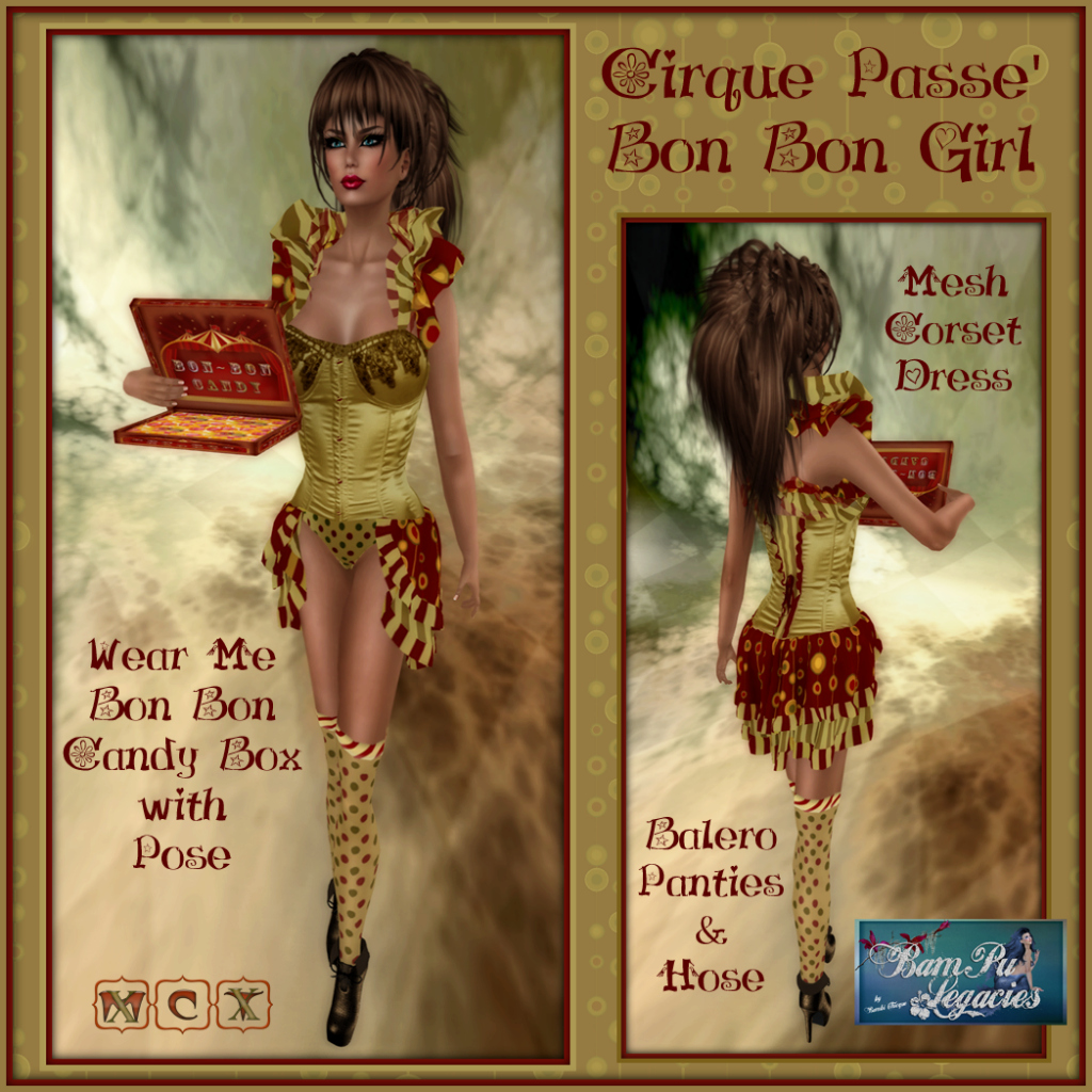 Cirque Passe' "BonBon Candy" Mesh Circus Dress and Hold Me Prop!